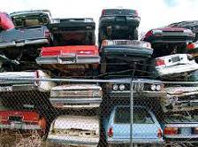free cash estimates